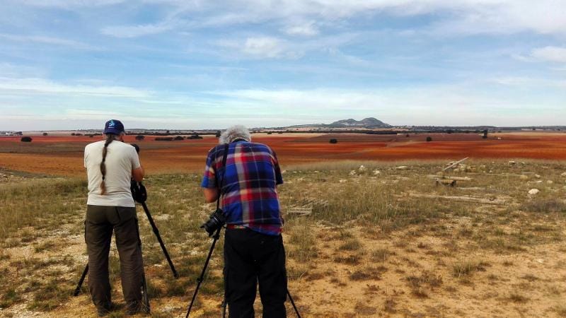 Oxytours birding