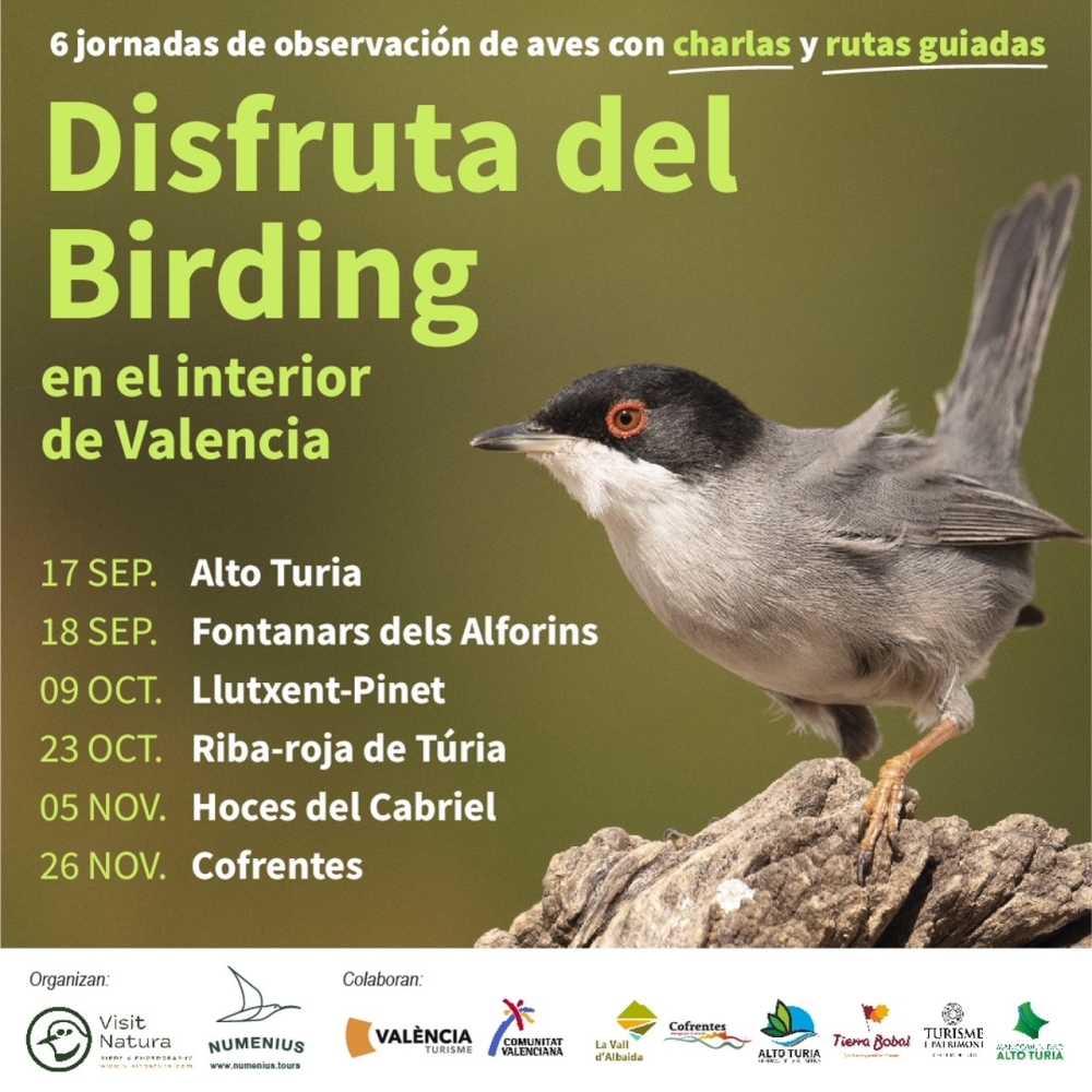 Cartel jornadas observación aves o birding Visit Natura