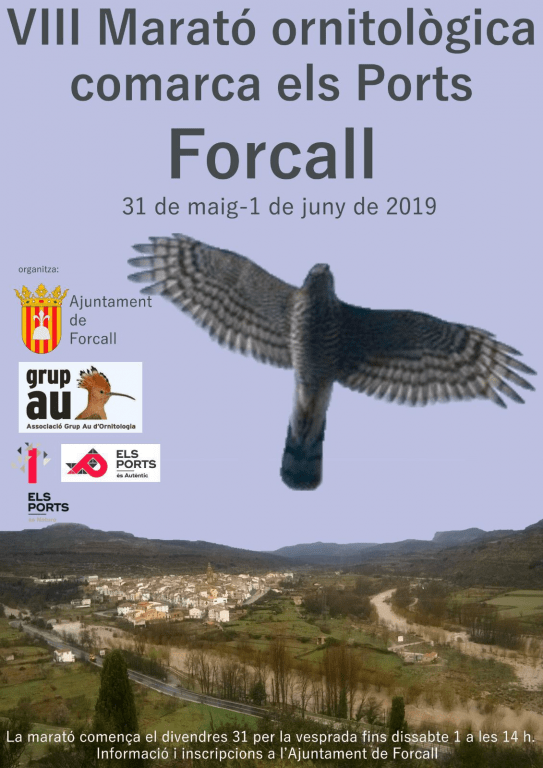 VIII Maratón ornitológica Els Ports - Forcall
