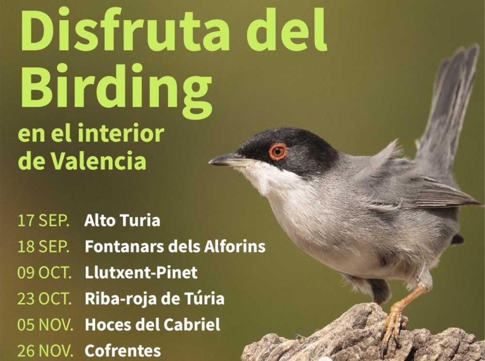 Imagen del cartel de las jornadas de observación de aves o birding