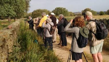 Birdwatching Spain