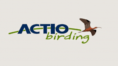 Actio Birding