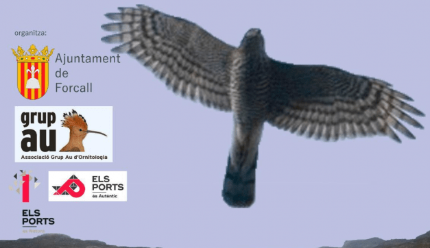 VIII Maratón ornitológica Els Ports - Forcall